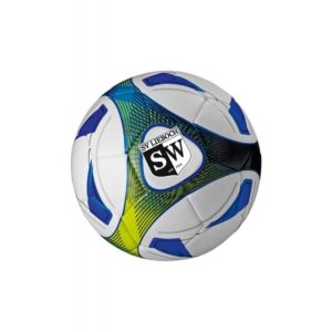 Ball Hybrid Training Gr. 5 (Logo)